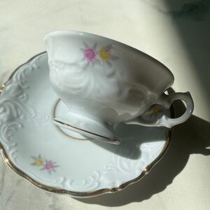 Walbrzych Teacup and Saucer made in Poland